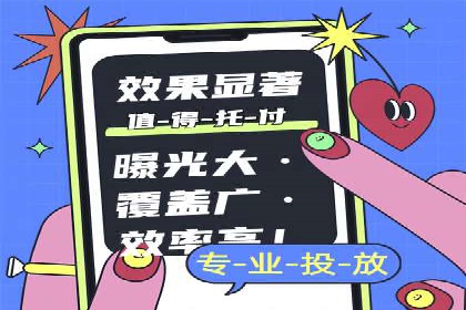 成功案例：SEM竞价托管的策略与效果